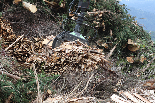 Lesna biomasa / Holz – Biomasse